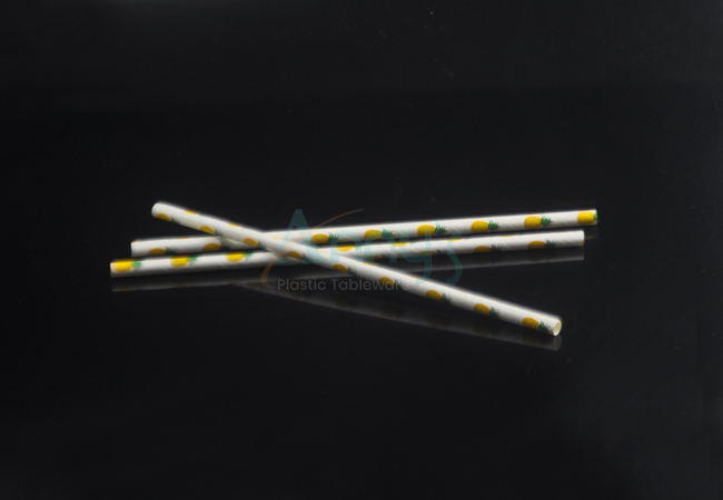 Chinese supplier of biodegradable paper straws/Anny's plastic tableware